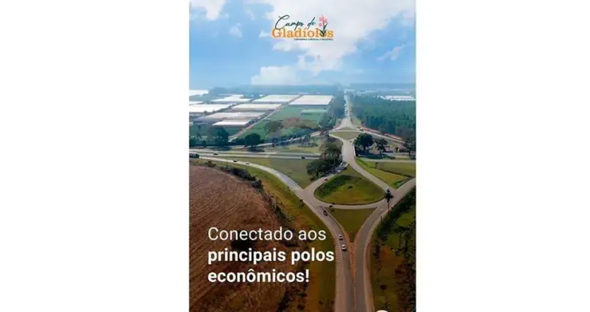 Campo de gladiolos condominio comercial e industrial de holambra
