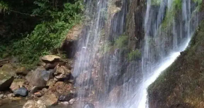 Chácara / sítio com 6 quartos à venda em Pirabeiraba, Joinville 