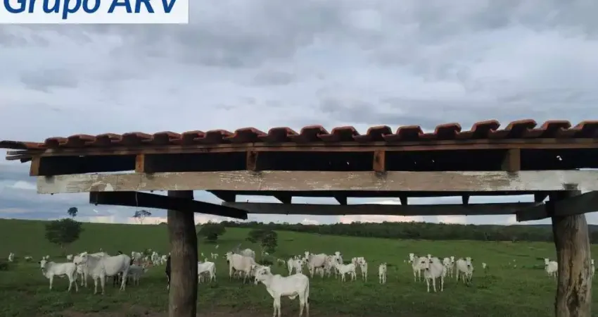 Fazenda à venda na Estrada Municipal, Centro, Bom Jesus do Araguaia