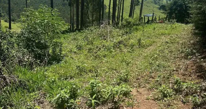 Terreno à venda na Estrada Municipal, 0002, Pitangueiras, Pedra Bela