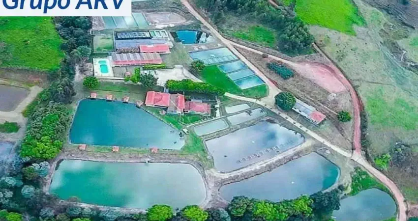 Chácara / sítio à venda na Estrada Municipal, 000, Zona Rural, Socorro