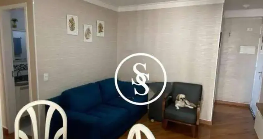 Apartamento com 3 dormitórios à venda, 63 m² por R$ 440.000,00 - Piraporinha - Diadema/SP