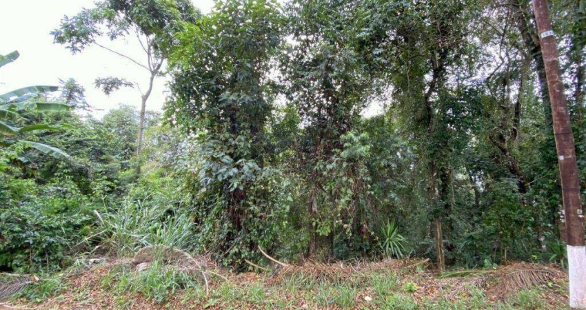 Terreno à venda, 3119 m² por R$ 290.000,00 - Portão - Atibaia/SP