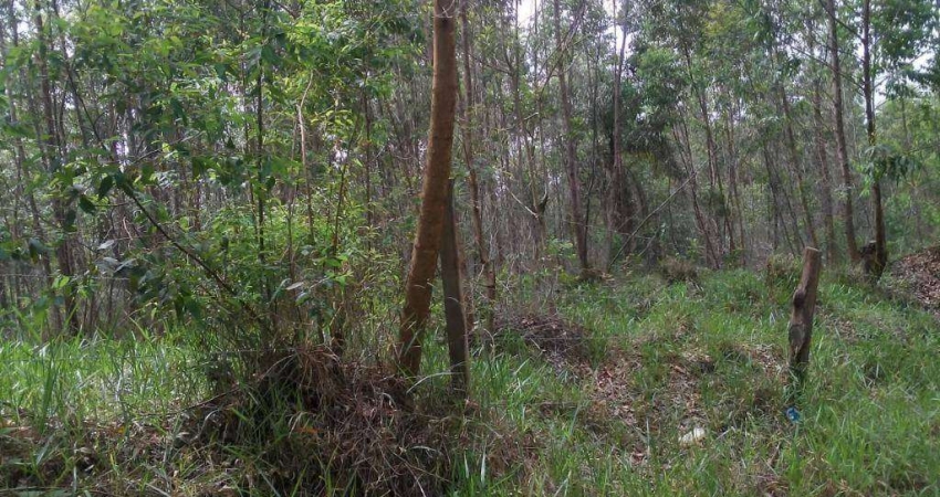 Sítio à venda, 20000 m² por R$ 1.000.000,00 - Guaripocaba - Bragança Paulista/SP