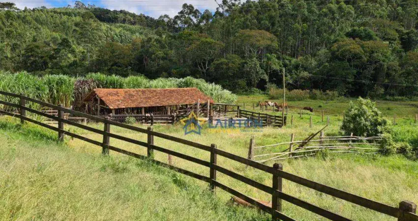 Sítio Espetacular de 21 Alqueires à Venda em Piracaia - Um Refúgio de Paz Perto de São Paulo