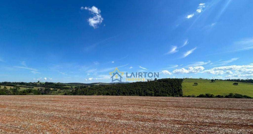 ?? Terreno à Venda em Bragança Paulista – 7,2 Alqueires Paulistas com Eucaliptos! ??