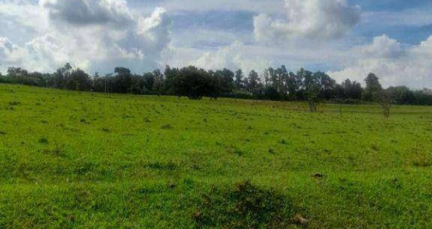 Chácara / sítio com 2 quartos à venda na Zona Rural, Porto Feliz 