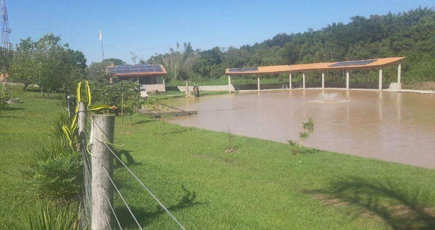 Chácara / sítio com 2 quartos à venda na Zona Rural, Porto Feliz 