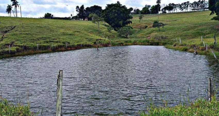 Chácara / sítio com 3 quartos à venda na Zona Rural, Conchas 