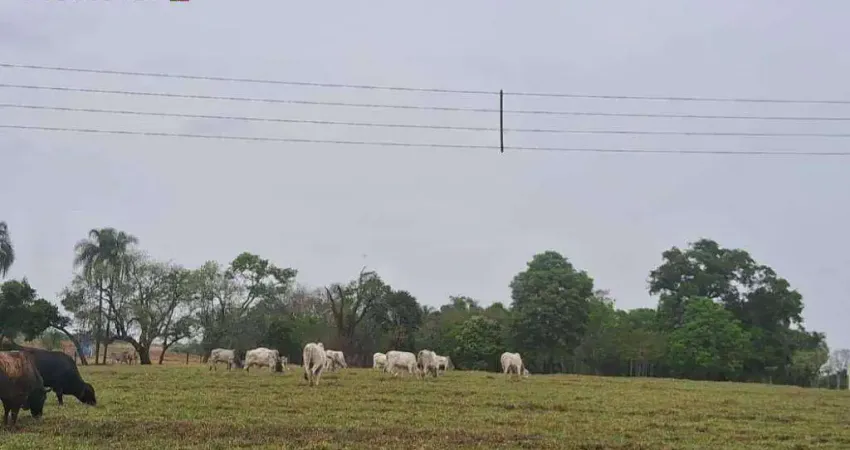 Fazenda com 1 sala à venda na Zona Rural, Araçoiaba da Serra 