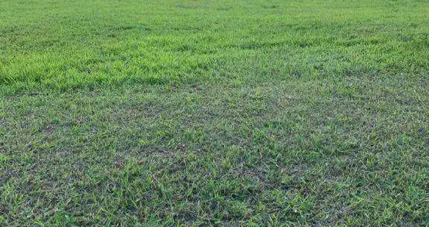 Terreno em condomínio fechado à venda no Residencial Primavera, Salto 