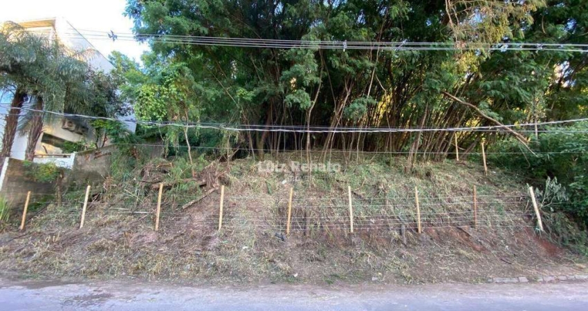 Terreno à venda na Rua Zodíaco, Santa Lúcia, Belo Horizonte