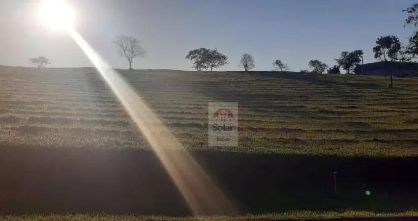 Terreno à venda, 1150 m² por R$ 266.000,00 - Chácara São Félix - Taubaté/SP