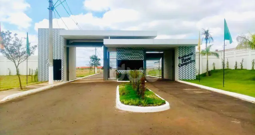 Terreno à venda, 348 m² por R$ 226.200,00 - Campestre - Piracicaba/SP