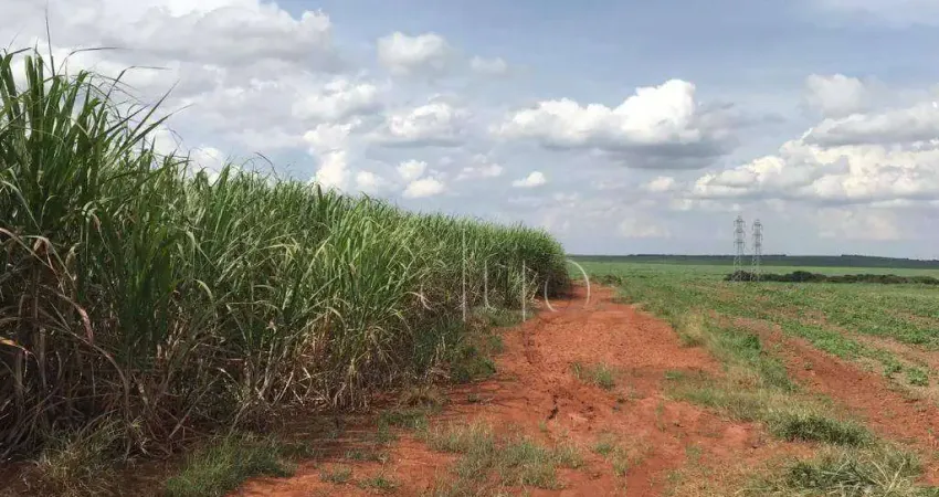 Área à venda, 35842 m² por R$ 1.000.000,00 - Capim Fino - Piracicaba/SP