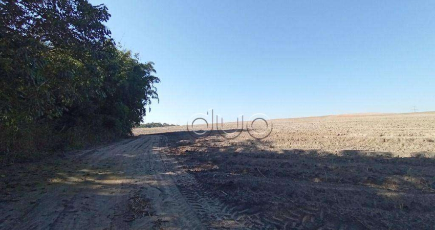 Fazenda com 1 dormitório à venda, 1210000 m² por R$ 9.000.000,00 - Paredão Vermelho - Piracicaba/SP