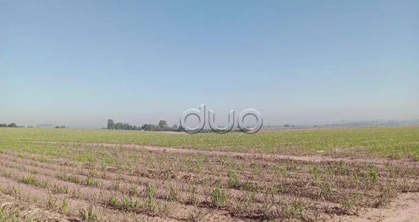 Fazenda com 1 dormitório à venda, 1210000 m² por r$ 9.000.000,00 - paredão vermelho - piracicaba/sp