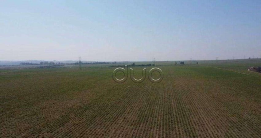 Fazenda com 1 dormitório à venda, 2220000 m² por R$ 17.000.000,00 - Centro (Ártemis) - Piracicaba/SP