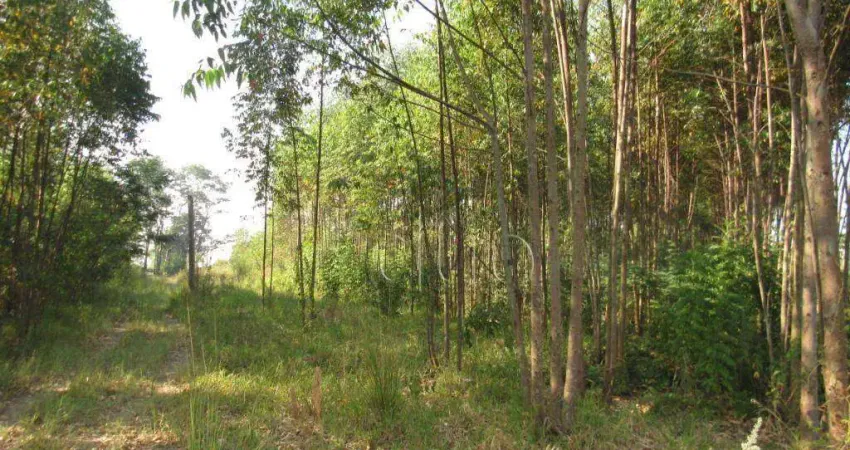 Área à venda, 45000 m² por r$ 2.250.000,00 - santa luzia - charqueada/sp