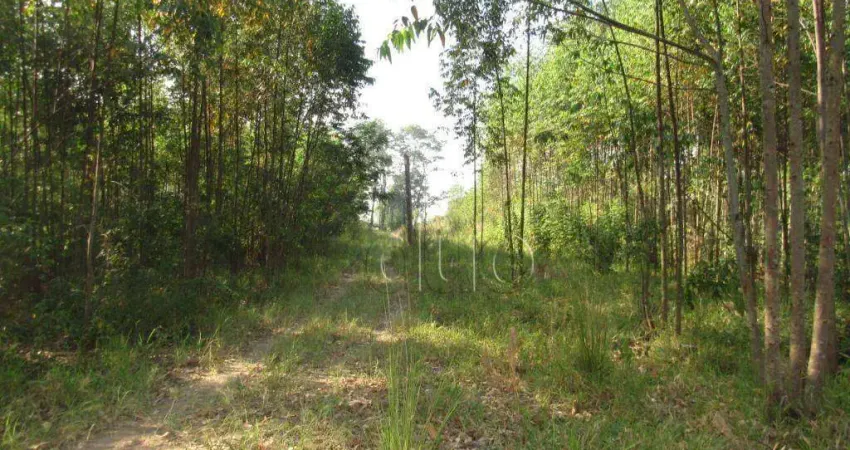 Área à venda, 45000 m² por R$ 2.250.000,00 - Santa Luzia - Charqueada/SP