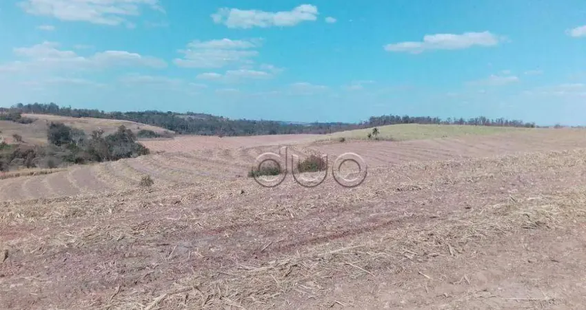 Área à venda, 4450 m² por R$ 9.200.000,00 - Santa Luzia - Charqueada/SP