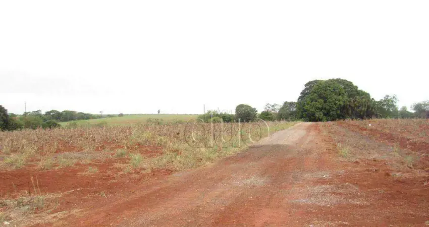 Área para alugar, 24200 m² por R$ 5.000,01/mês - Vila Nova - Piracicaba/SP