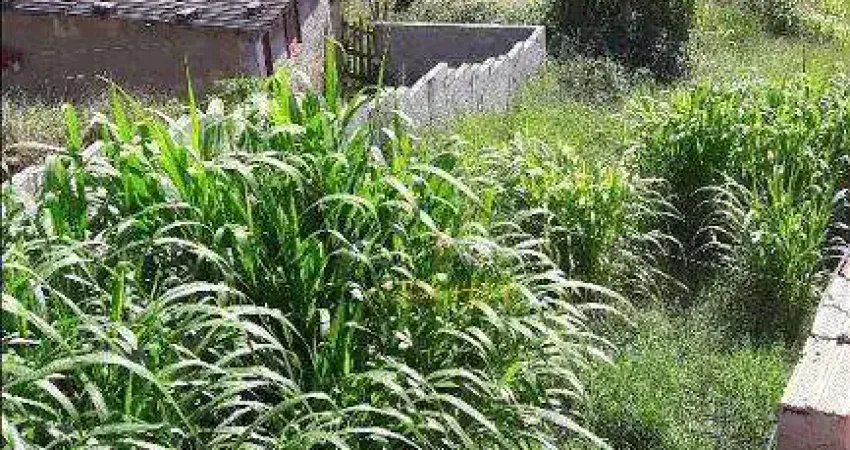 Terreno à venda na Rua Teófilo Otoni, Jardim Japão (Caucaia do Alto), Cotia