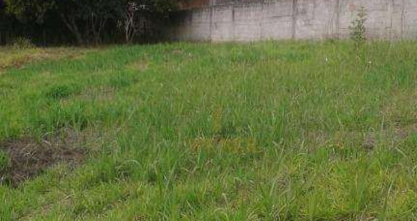 Terreno à venda na Estrada Morro Grande, Jardim Ísis, Cotia