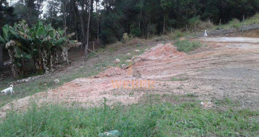 Terreno comercial à venda na Rua Cynira Cruz, Jardim Leonor, Cotia