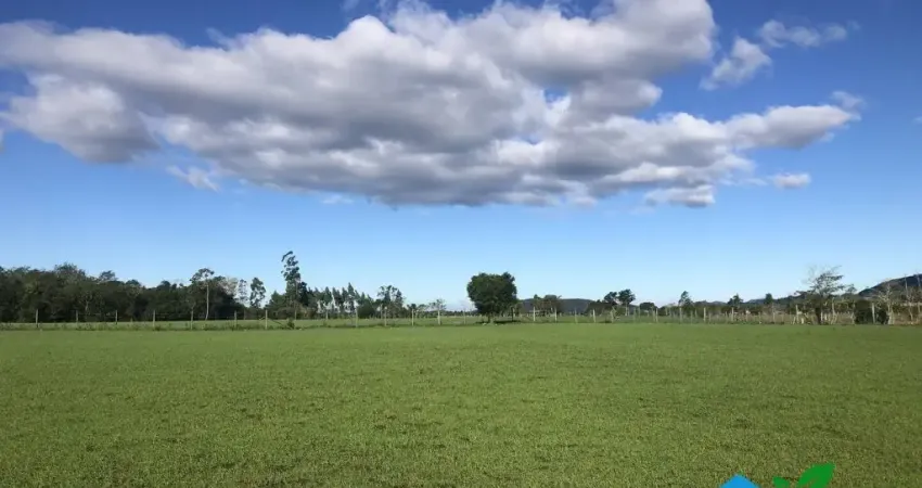 Imóvel Rural a venda, 46 hectares, com pista de pouso, Paulo Lopes SC.