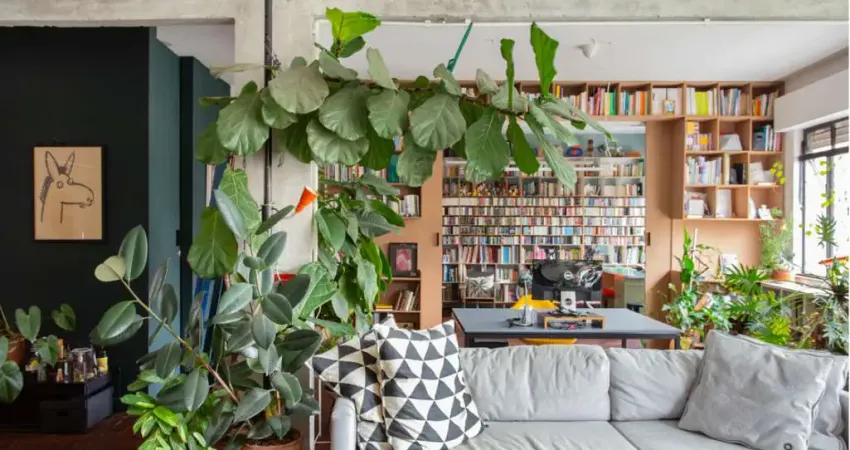 Apartamento tipo para venda em barra funda com 2 quartos, sendo 1 suíte, 146m²