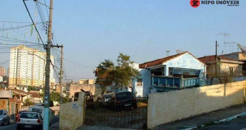 Terreno à venda, 313 m² por R$ 1.250.000,00 - Vila Cosmopolita - São Paulo/SP