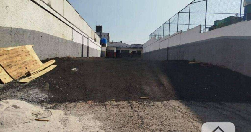 Terreno para alugar, 500 m² por R$ 12.000/mês - Jardim Rio Pequeno - São Paulo/SP