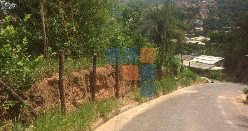 Terreno à venda, 975 m² por R$ 230.000,00 - Santo Antônio (Roça Grande) - Sabará/MG