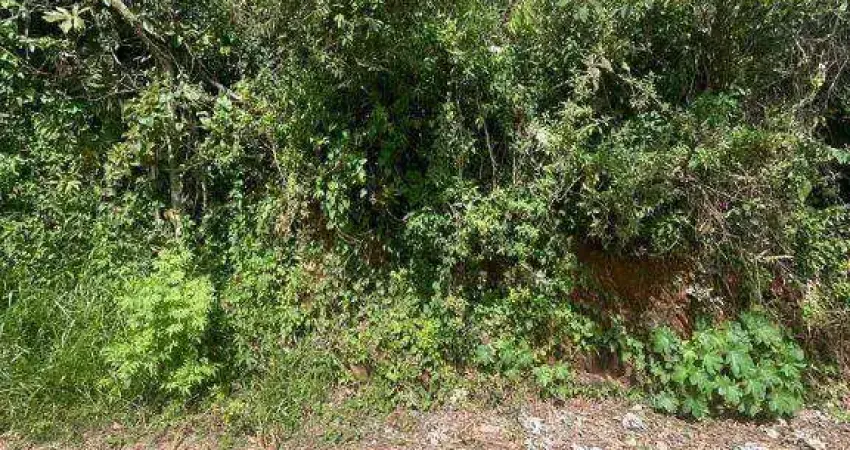 Terreno à venda, 150 m² por R$ 55.000,00 - Vila Francisco de Moura - Sabará/MG