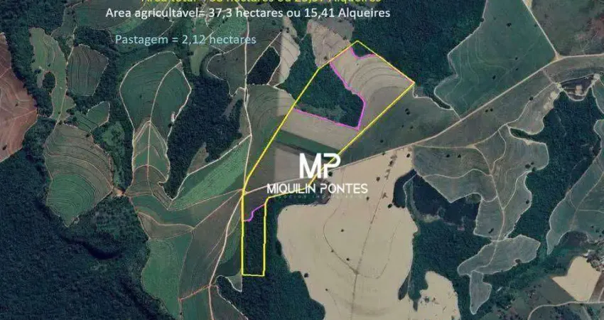 Sítio à venda, 23,97 alqueires por r$ 4.100.000 - zona rural - santa cruz da esperança/sp