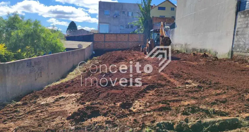 Terreno à venda na Rua Pedro Lopes de Lara, Neves, Ponta Grossa