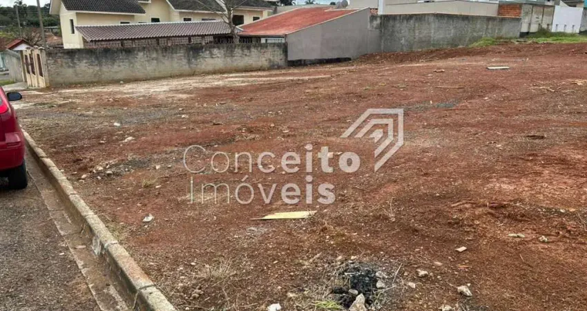 Terreno à venda na Rua Possidônio da Cunha Santos, 10, Uvaranas, Ponta Grossa