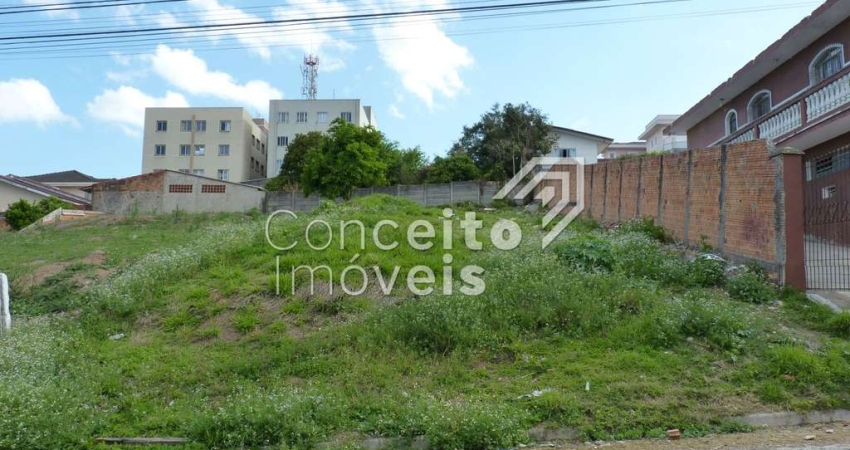 Terreno à venda na Rua Dario Veloso, 679, Uvaranas, Ponta Grossa