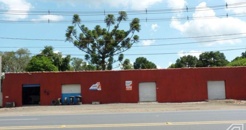 Imóvel Comercial - Bairro Piriquitos - Rodovia BR 376