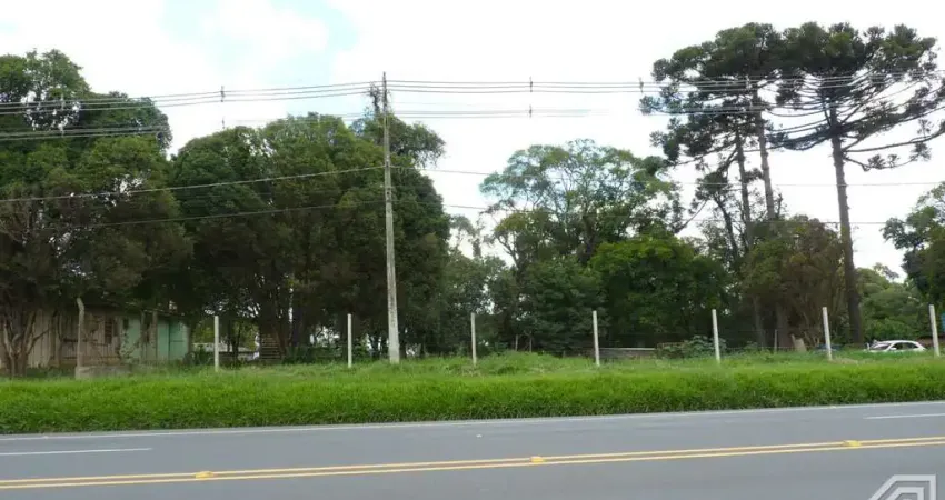 Terreno de 1.342,73m²  Rodovia BR-376 - Bairro Piriquitos