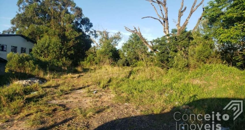 Terreno - Bairro Chapada - Avenida Souza Naves