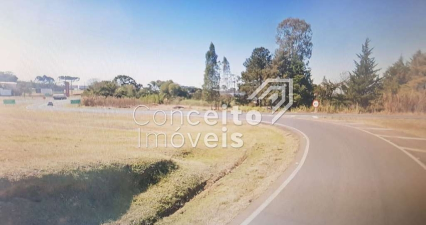 Terreno Comercial no Trevo BR 373 - Saída para BR 376