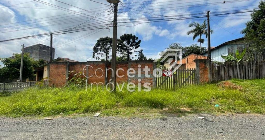 Terreno à venda na Rua Ferreira de Araújo, 351, Uvaranas, Ponta Grossa