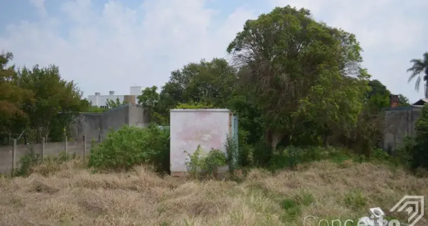 Terreno à venda na Rua República da Argentina, 243, Orfãs, Ponta Grossa
