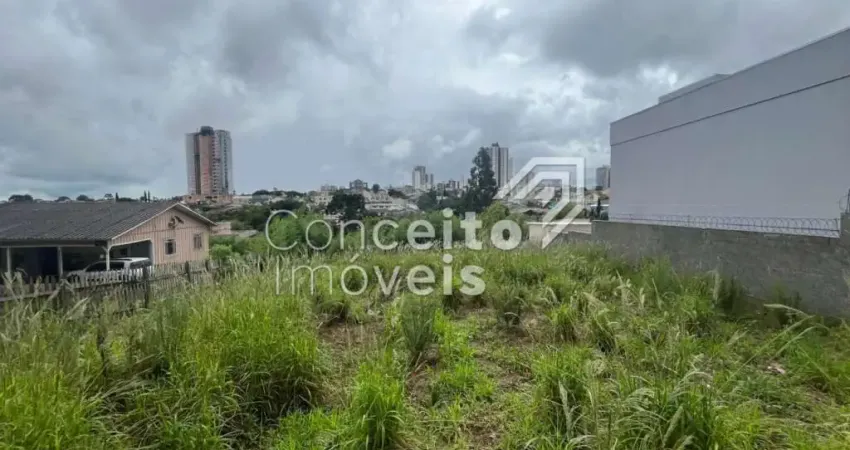Terreno à venda na Rua Doutor Luiz Conrado Mansani, 000, Oficinas, Ponta Grossa