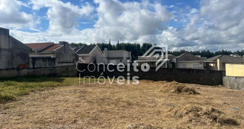 Terreno com 374,26m² - Parque Vida Sadia - Neves