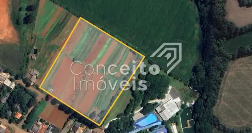 Chácara / sítio à venda no Piriquitos, Ponta Grossa 