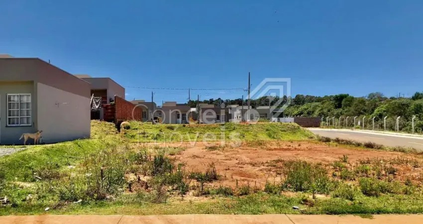 Terreno à venda no Neves, Ponta Grossa