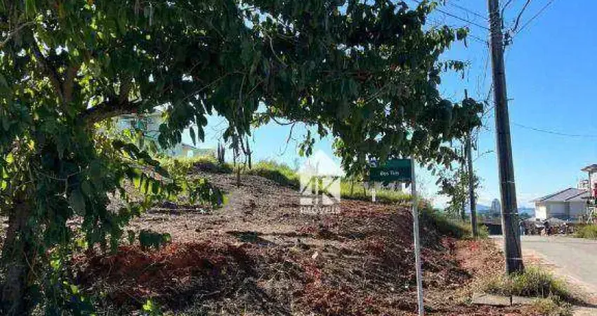 Terreno à venda, 450 m² por r$ 850.000,00 - pedra branca - palhoça/sc